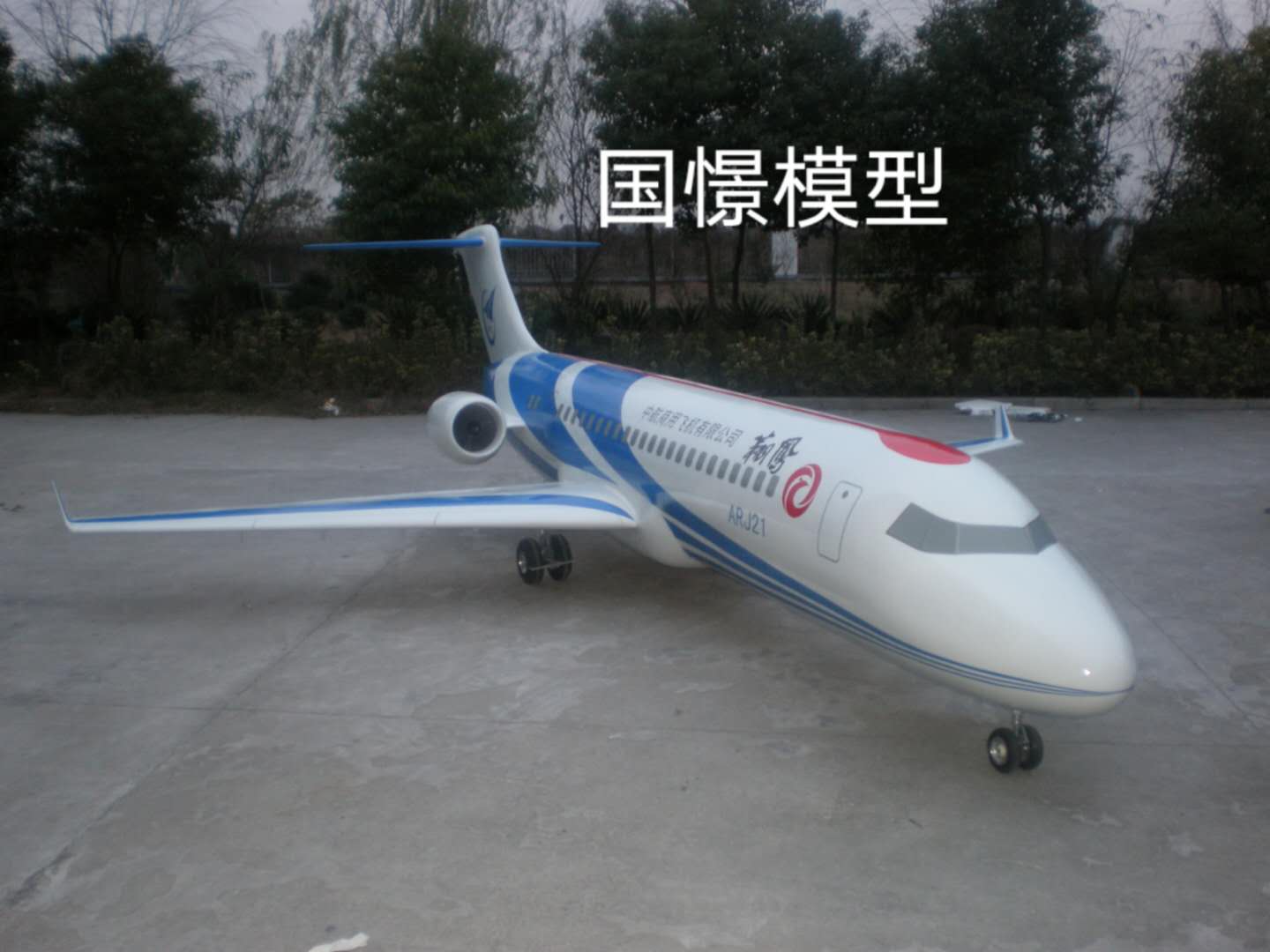 隆昌市飞机模型