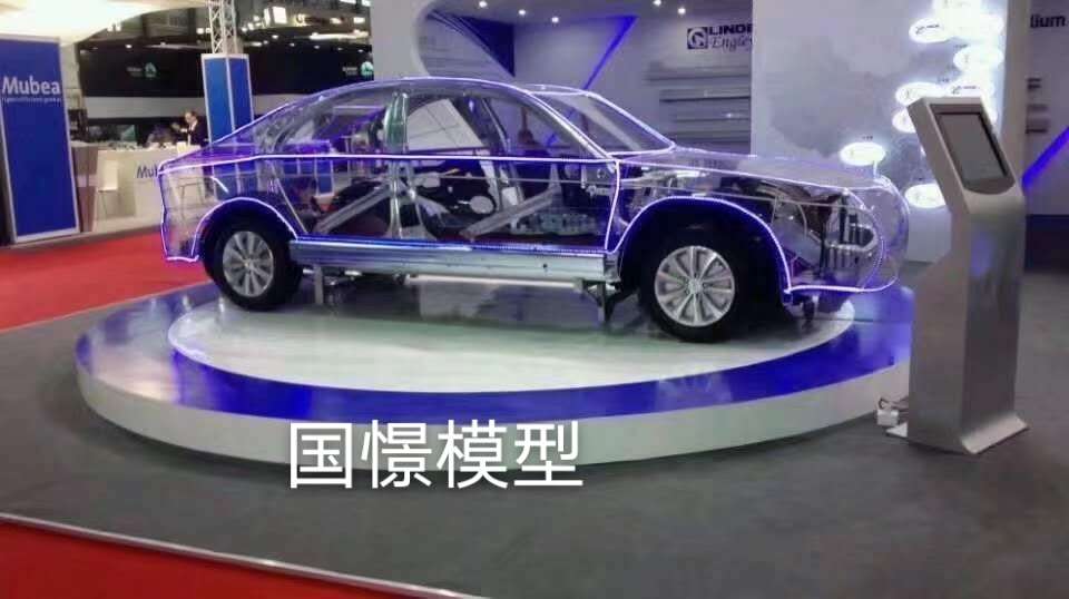 隆昌市透明车模型